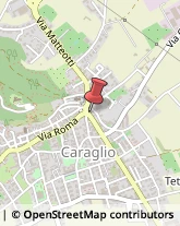 Agrumi Caraglio,12023Cuneo