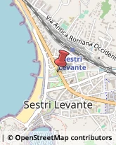 Tour Operator e Agenzia di Viaggi Sestri Levante,16039Genova