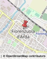 Laboratori Odontotecnici Fiorenzuola d'Arda,29017Piacenza