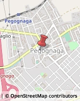 Associazioni Sindacali Pegognaga,46020Mantova