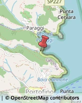 Articoli Sportivi - Dettaglio Portofino,16034Genova