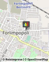 Vernici, Smalti e Colori - Vendita Forlimpopoli,47034Forlì-Cesena