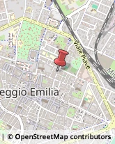 Porcellane - Dettaglio Reggio nell'Emilia,42100Reggio nell'Emilia