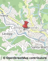 Maglieria - Produzione Campomorone,16014Genova