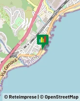 Elettrauto Cogoleto,16016Genova