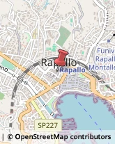 Televisione e Cinema - Produzione e Studi Rapallo,16035Genova