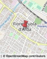Piante e Fiori - Dettaglio Fiorenzuola d'Arda,29017Piacenza