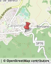 Corpo Forestale Carpineti,42033Reggio nell'Emilia