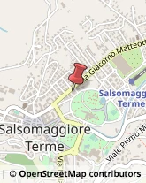 Saponette e Saponi Salsomaggiore Terme,43039Parma