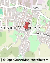 Essenze, Estratti e Prodotti Aromatici per Profumeria Fiorano Modenese,41042Modena