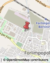 Agenti e Rappresentanti di Commercio,47034Forlì-Cesena