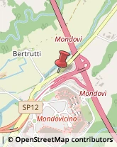 Autofficine e Centri Assistenza Mondovì,12084Cuneo