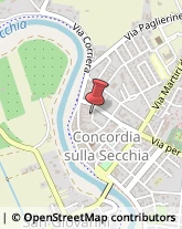 Consulenza Informatica Concordia sulla Secchia,41033Modena