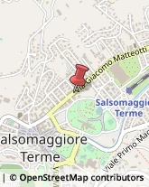 Articoli Sportivi - Dettaglio Salsomaggiore Terme,43039Parma