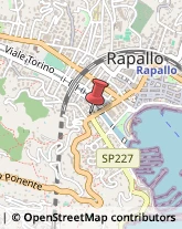 Commercialisti Rapallo,16035Genova