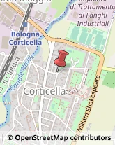Cornici ed Aste - Dettaglio Bologna,40128Bologna