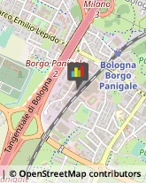 Massaggi Bologna,40132Bologna