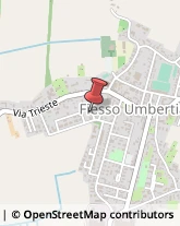 Psicologi Fiesso Umbertiano,45024Rovigo