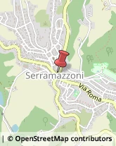 Articoli da Regalo - Dettaglio Serramazzoni,41028Modena