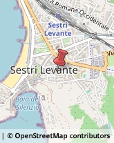 Gastroenterologia - Medici Specialisti Sestri Levante,16039Genova