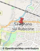 Spezie Savignano sul Rubicone,47039Forlì-Cesena