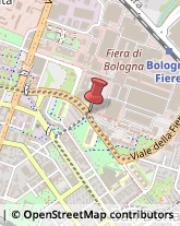 Viale Aldo Moro, 16,40127Bologna