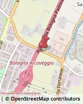 Bulbi e Sementi Bologna,40128Bologna