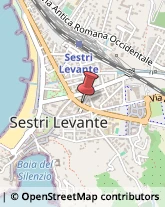 Assicurazioni Sestri Levante,16039Genova