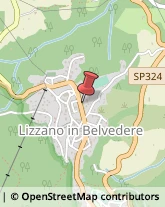 Carabinieri Lizzano in Belvedere,40042Bologna