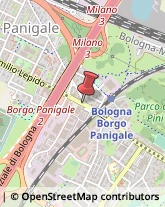 Consulenza Informatica,40132Bologna