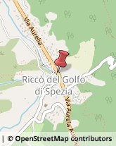 Terme Riccò del Golfo di Spezia,19020La Spezia