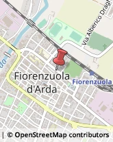 Commercialisti Fiorenzuola d'Arda,29017Piacenza