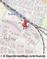 Trasporti Trofarello,10028Torino