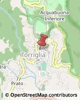 Aziende Sanitarie Locali (ASL) Torriglia,16029Genova