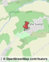 Via Suore, 11,40026Imola