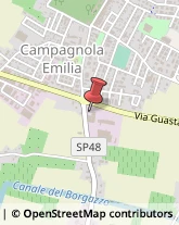 Vini e Spumanti - Produzione e Ingrosso Campagnola Emilia,42012Reggio nell'Emilia