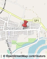 Articoli Sportivi - Dettaglio Ostellato,44020Ferrara