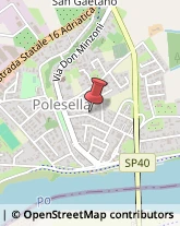 Palestre e Centri Fitness Polesella,45038Rovigo