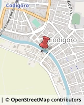 Alimentari Codigoro,44021Ferrara