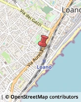 Latte e Derivati Loano,17025Savona