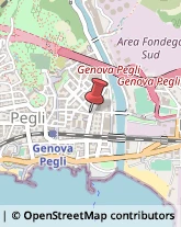 Mangimi e Foraggi Genova,16155Genova