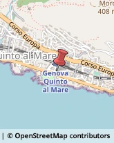 Maglieria - Produzione Genova,16166Genova