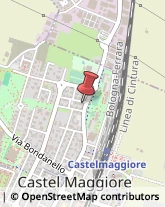 Tricologia - Studi e Centri Castel Maggiore,40013Bologna