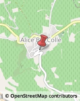 Cantine Sociali Alice Bel Colle,14044Alessandria