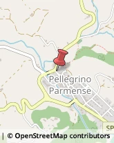 Studi Medici Generici Pellegrino Parmense,43047Parma
