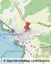 Pensioni Riomaggiore,19017La Spezia