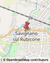 Spezie Savignano sul Rubicone,47039Forlì-Cesena