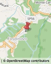 Aziende Agricole Fosdinovo,54035Massa-Carrara