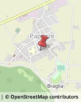 Parrucchieri Papozze,45010Rovigo