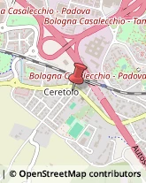 Agenzie Immobiliari Casalecchio di Reno,40033Bologna